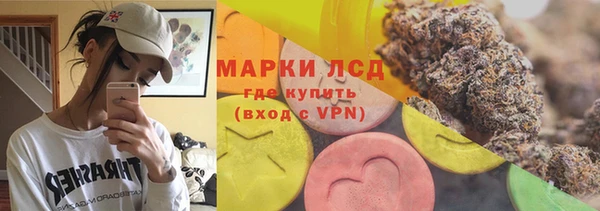 сатива Новокубанск