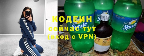 твердый Новозыбков