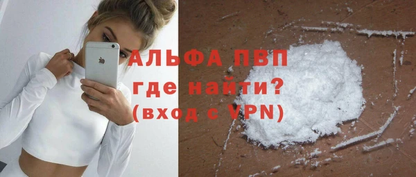 сатива Новокубанск