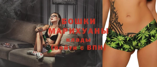 сатива Новокубанск