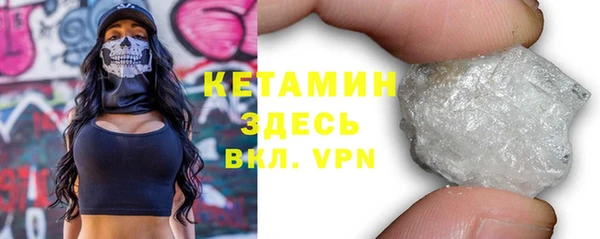 твердый Новозыбков