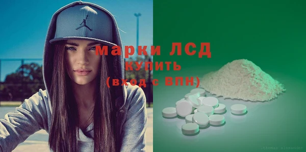 сатива Новокубанск