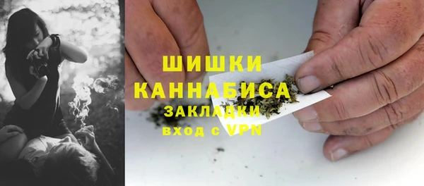 сатива Новокубанск
