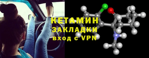 сатива Новокубанск