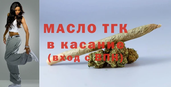 твердый Новозыбков