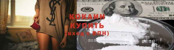 твердый Новозыбков