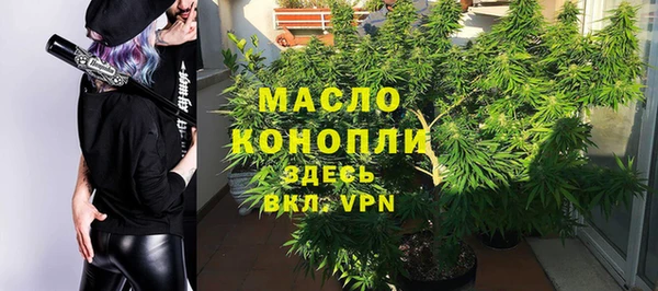 твердый Новозыбков