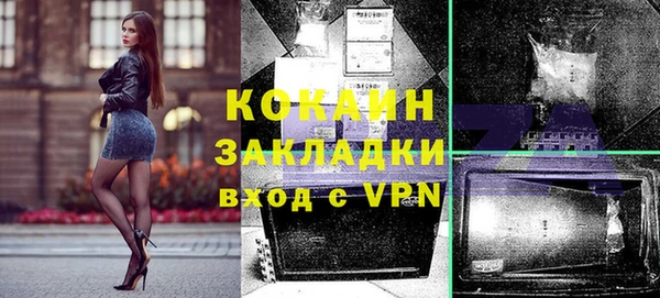 сатива Новокубанск