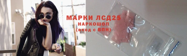 твердый Новозыбков