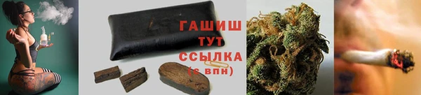 твердый Новозыбков