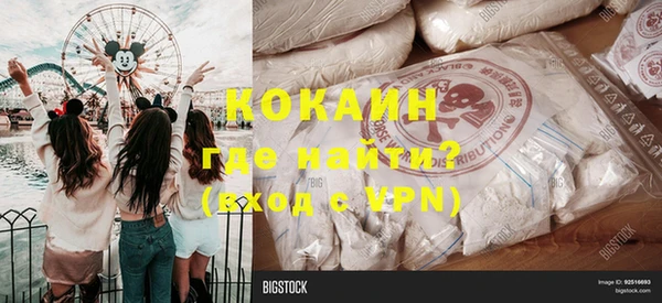 твердый Новозыбков