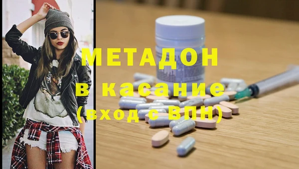 сатива Новокубанск