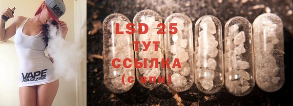 ПСИЛОЦИБИНОВЫЕ ГРИБЫ Грязи