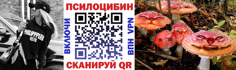 площадка какой сайт  Питкяранта  Псилоцибиновые грибы Psilocybe 